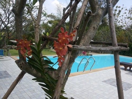 Kanvela Resort Канчанабури Экстерьер фото